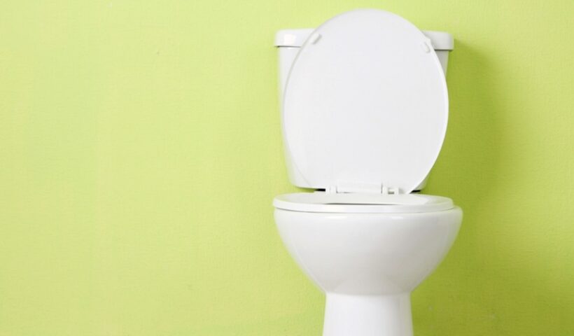 How To Install A New Toilet Seat Cover