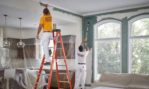 The Art of Interior Painting