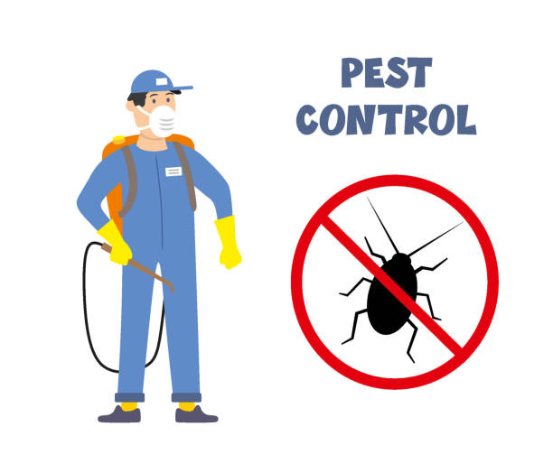 ANT Pest control