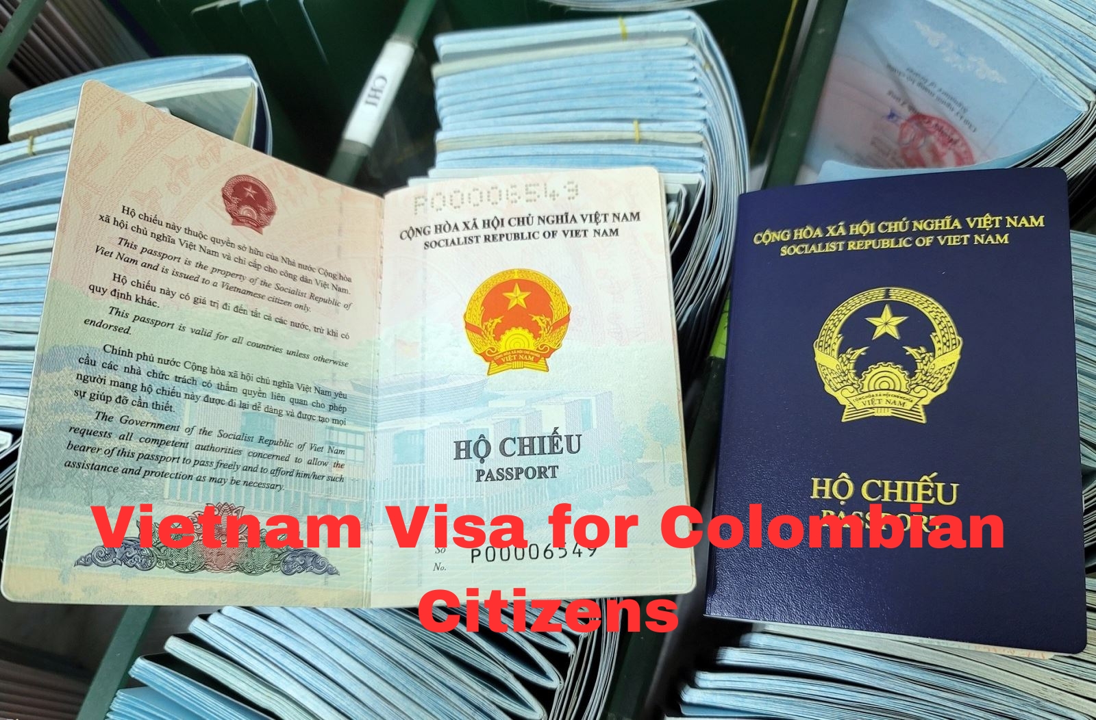 Vietnam Visa