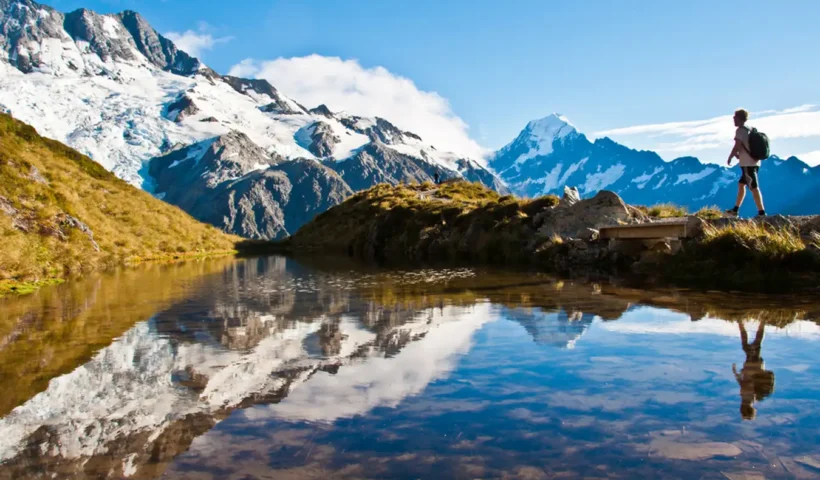 New Zealand Tourist Visa Processing Times