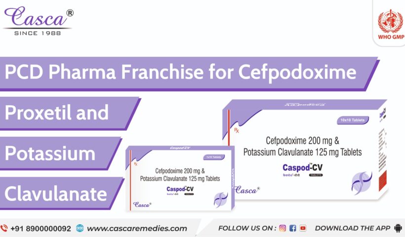 PCD pharma franchise for Cefpodoxime proxetil and potassium Clavulanate
