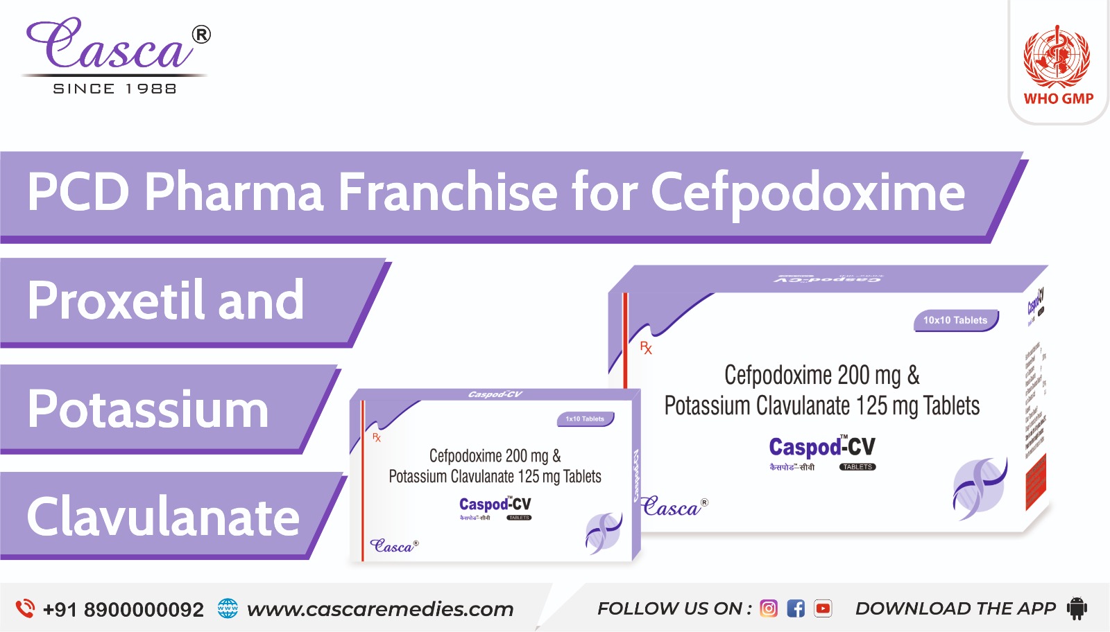 PCD pharma franchise for Cefpodoxime proxetil and potassium Clavulanate