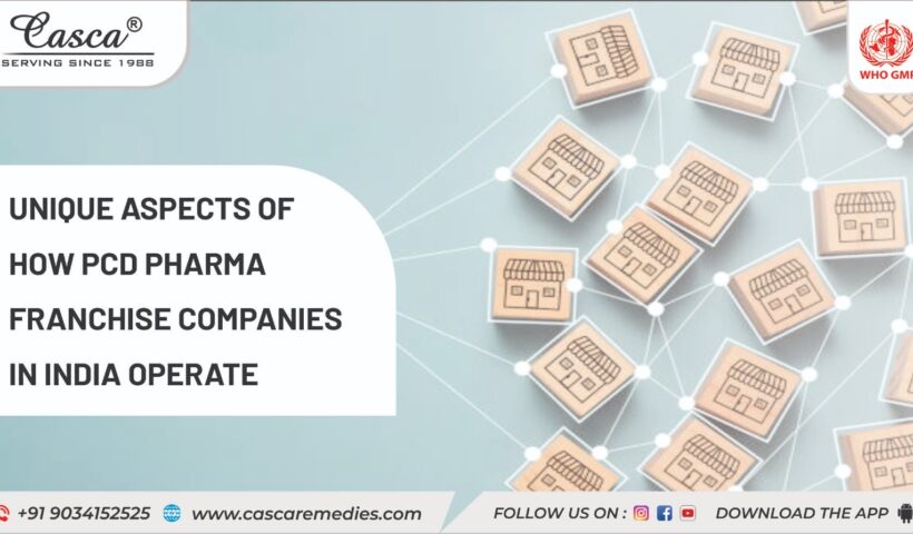 Unique Aspects of How PCD Pharma Franchise Companies in India Operate