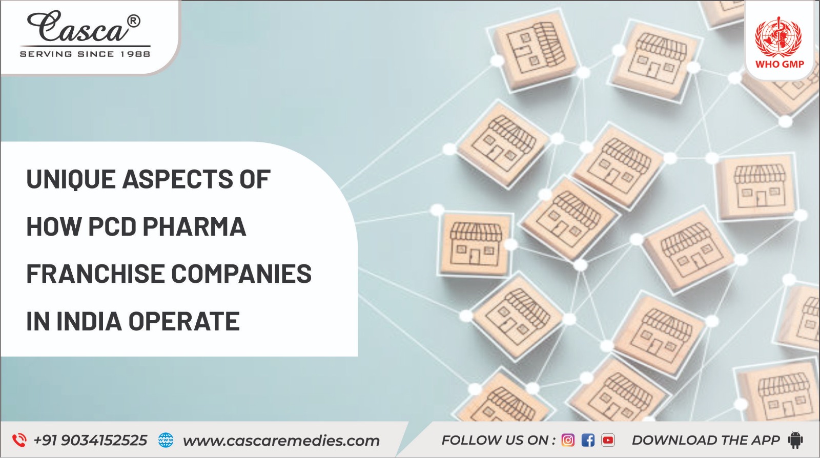 Unique Aspects of How PCD Pharma Franchise Companies in India Operate